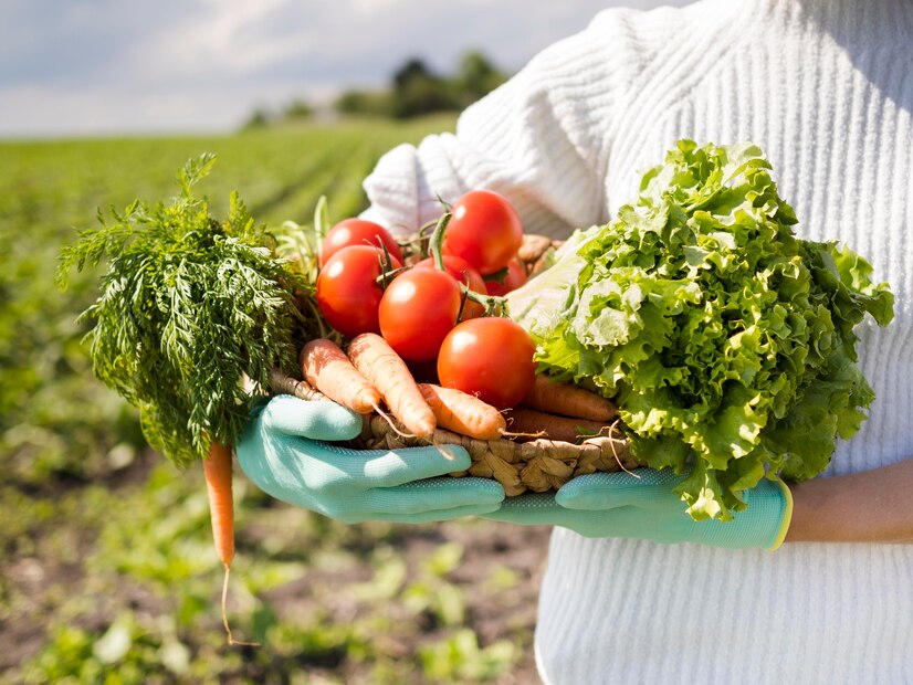 Trending new organic House plant .best online plant nursery in Thrissur ,  Bangalore. Online plant selling. Budget Farm.