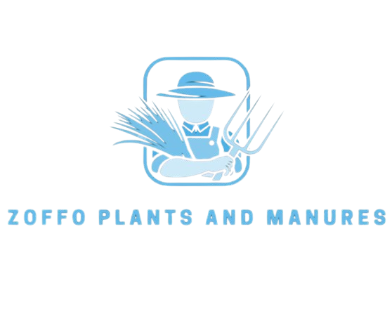 A greenish logo of best online plant nursery in  Bangalore, MMnursery. The logo have  emblem with letters showing MMnursery.